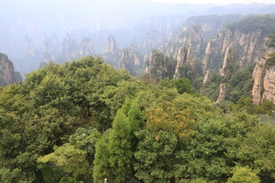 壮美山林景观