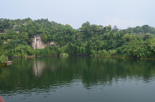 宁静湖畔的葱郁山林