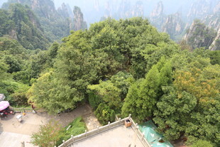 山间绿意景观