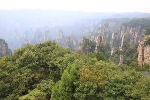 张家界奇峰绿树美景