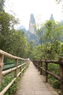 山间木栈道 赏秀丽风光
