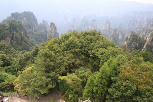 张家界奇峰绿意景观