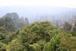 张家界奇峰绿意景观