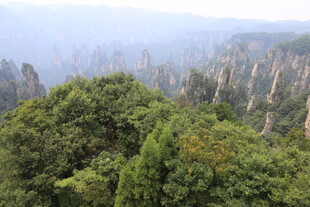 张家界奇峰异林景观