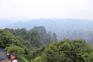 张家界山峦葱郁美景