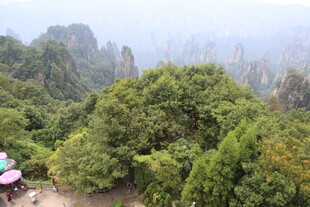 山林间的秀丽自然景致