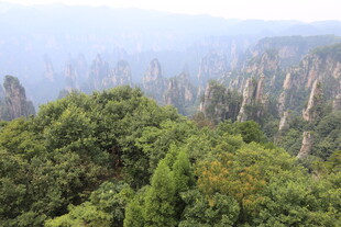 张家界奇峰异林美景