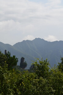 山间绿意与远处山峦景色