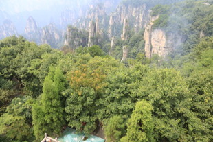 张家界奇峰绿树美景