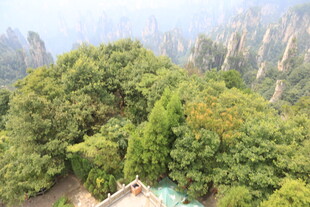 张家界葱郁山林景观