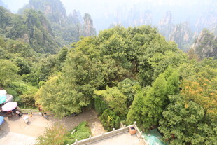 山间绿意景观