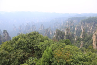 张家界奇峰林立美景