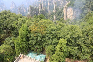 张家界奇峰丛林美景