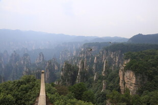 张家界奇峰美景
