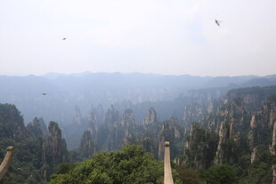 张家界奇峰云海观景