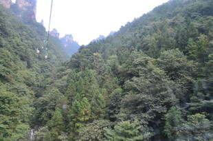 山林葱郁的秀丽山谷景色