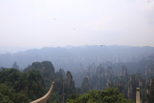 张家界奇峰美景