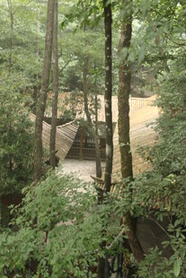 林间小屋隐于葱郁树林