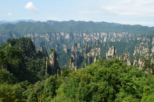 张家界奇峰异林美景