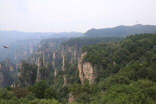 张家界奇峰异景