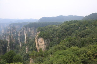 张家界奇峰峻岭绿意盎然