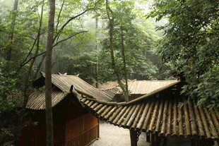 林中古建 静谧中式景致