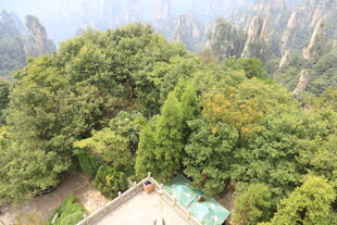俯瞰山林绿意盎然景观