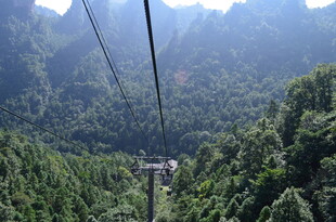山间缆车穿梭茂密山林