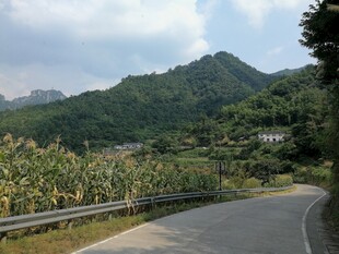 山间公路旁的田园风光
