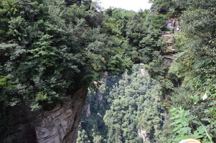 险峻峡谷中的葱郁山林