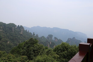 山间绿意景观