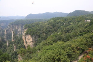 壮丽山峦森林景观