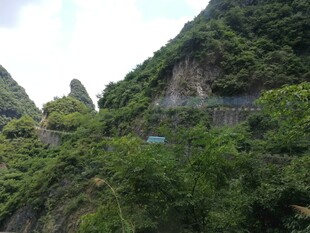 山间绿意盎然的蜿蜒道路