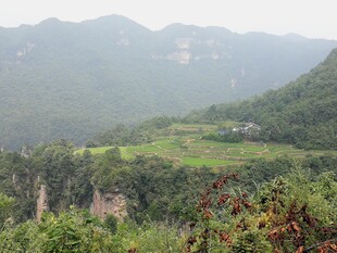 山间绿野风光