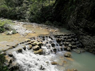山间溪流 石上清泉潺潺