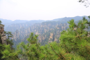 壮美山林景观