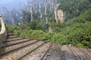张家界奇峰下的古朴石阶