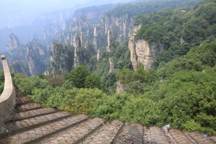 张家界奇峰与林间石阶