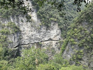 山间栈道隐于葱郁山林