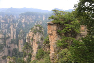 张家界奇峰美景