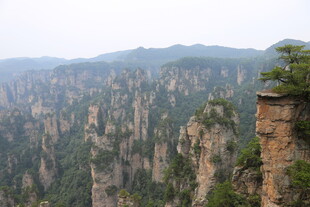 张家界奇峰美景