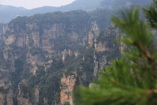 壮丽山景 松立悬崖之巅