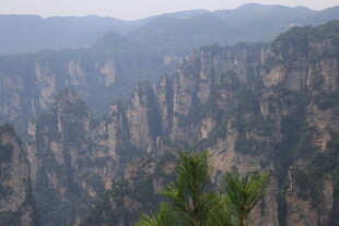 壮丽山峰与挺拔青松