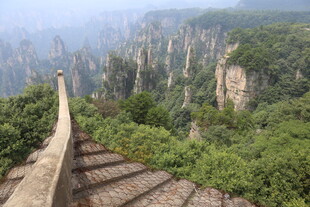 张家界奇峰间的石阶美景