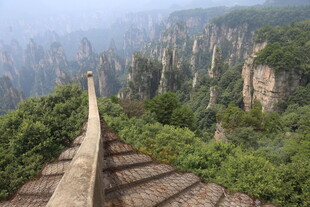张家界奇峰间的石阶景观