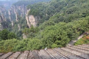 张家界奇峰绿意观景台