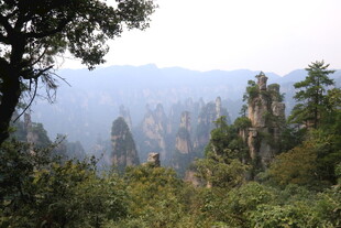 张家界奇峰异林美景