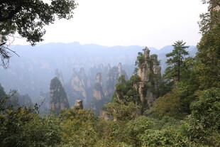 张家界奇峰异林景观