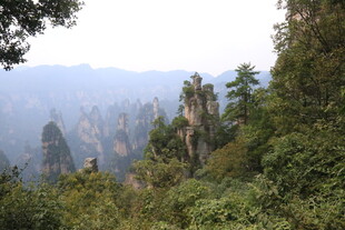张家界奇峰异林美景