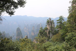 张家界奇峰林立美景